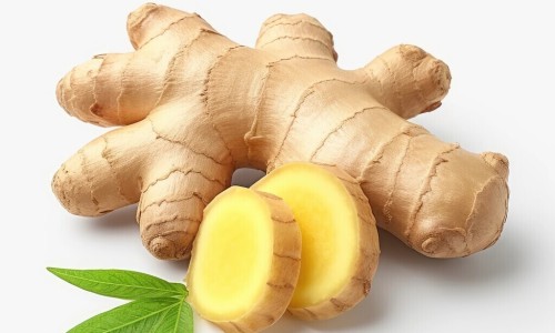 甲地孕酮分散片用法用量-甲地孕酮分散片禁忌症网 - 网站提供甲地孕酮分散片的副作用小常识、甲地孕酮分散片的作用