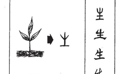 甲地孕酮分散片用法用量-甲地孕酮分散片禁忌症网 - 网站提供甲地孕酮分散片的副作用小常识、甲地孕酮分散片的作用